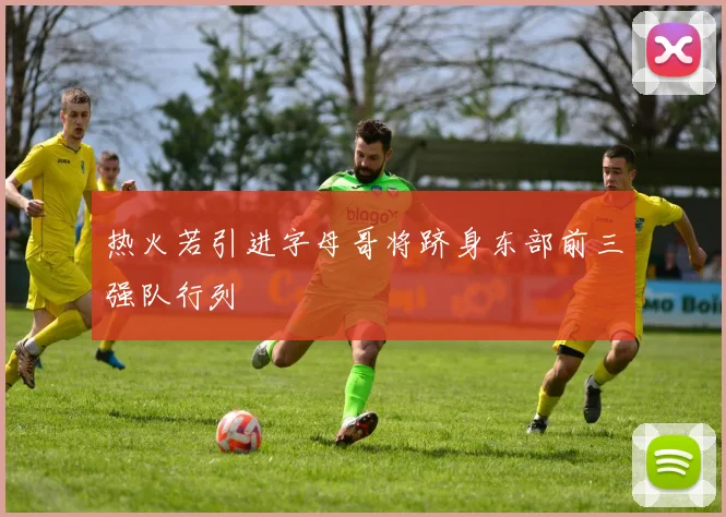 热火若引进字母哥将跻身东部前三强队行列