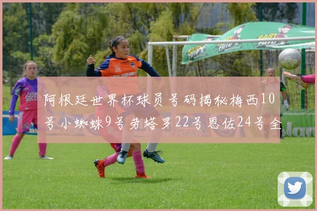 阿根廷世界杯球员号码揭秘梅西10号小蜘蛛9号劳塔罗22号恩佐24号全解析